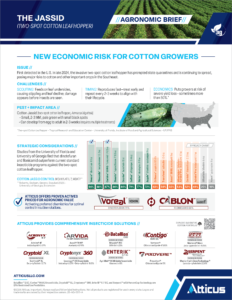 The Cotton Jassid | Agronomic Brief | Atticus, LLC